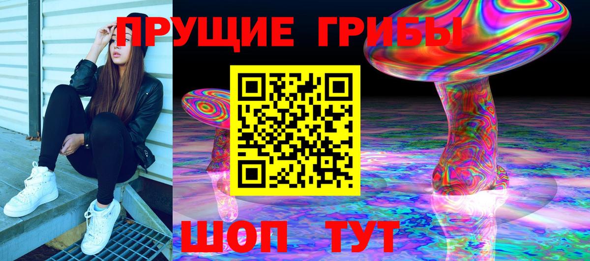 Кольчугино  Псилоцибиновые грибы GOLDEN TEACHER  Вход с VPN 